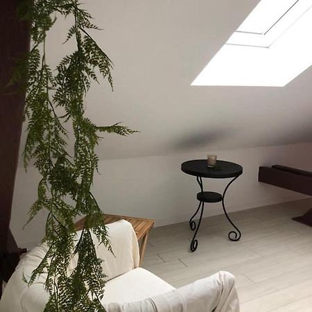 Alsacian Home - Old Town Cosy Apartments Colmar Ngoại thất bức ảnh