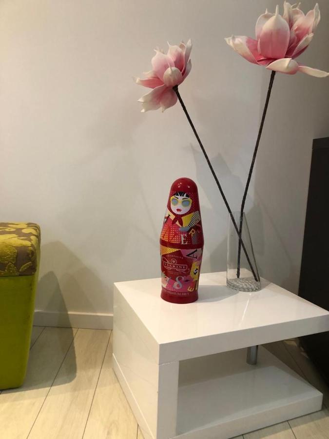Alsacian Home - Old Town Cosy Apartments Colmar Ngoại thất bức ảnh